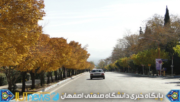 گالری عکس های پاییزی از دانشگاه صنعتی اصفهان (عکس ها از مسلم شاه محمدی)