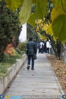 تصاویر پاییزی دانشگاه صنعتی اصفهان (عکس ها از : محمدحسین دهقانی و سینا صادقی)